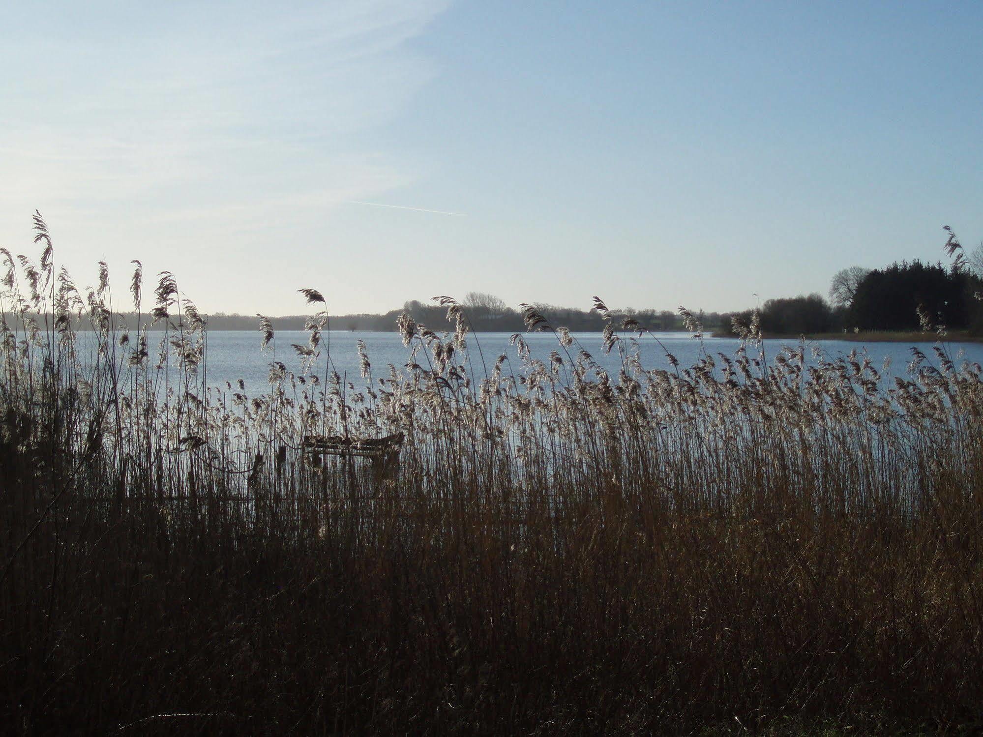 Fischerwiege Am Passader See Exteriör bild